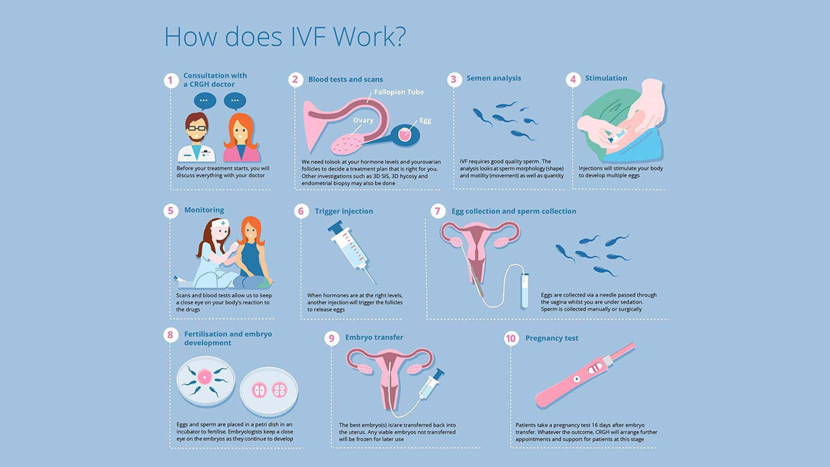 IVF ( In Vitro Fertilization or Test Tube Baby)