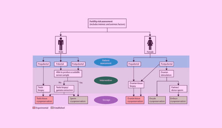 Fertility-760x427